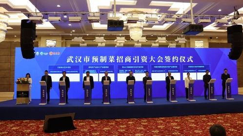 風脈能源30億元投資江夏山坡街道 打造萬畝低碳高效水產養殖綜合開發項目